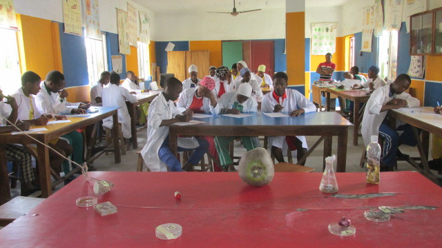 Students in the lab2